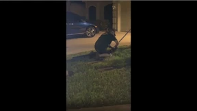 Alligator-Besuch in der Garage