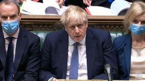 Der Partylöwe sagt „Sorry“