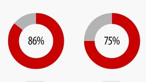 Internationale Sponsoren meiden die Bundesliga