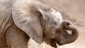 Furchtlos im Schutz von Mutter und Tante