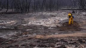 Buschbrände hinterlassen „Mondlandschaft“