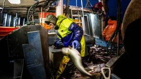 Nichts geht über Bord