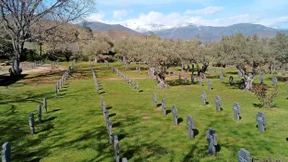 180 graue Grabsteine