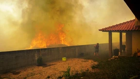 Dutzende Waldbrände und hunderte Hitzetote