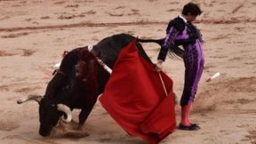 Kulturgeld in Spanien gilt auch für Stierkämpfe