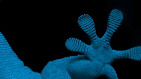 Wie Tricks der Natur zu Technik  werden