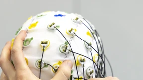 Intelligente Gehirne schwingen im Takt