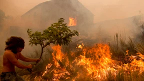 Hunderte kämpfen gegen Waldbrände in Portugal    