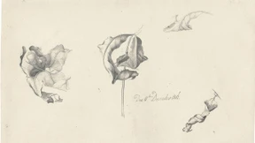 Das Geschäft mit welkem Ahornlaub blüht