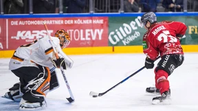 Haie ohne Biss, Münchner mit breiter Brust