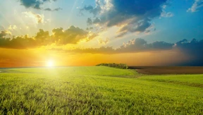 Zu früh für den Abgesang