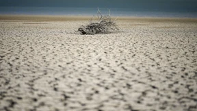 Klimawandel-Folgen teils unumkehrbar