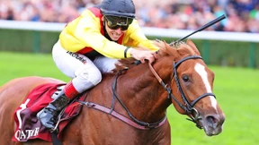 „Eine Mega-Leistung auf unpassendem Boden“