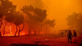 Bis zu 36 Grad in Deutschland – Waldbrände in Südeuropa