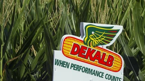 Agrochemie-Poker um Monsanto