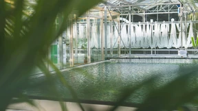 Von Megabytes und Mikroalgen