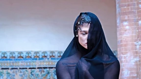 Flamenco in gleißenden Farben