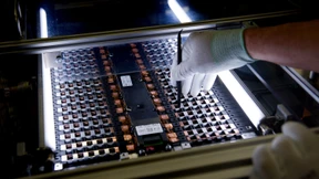 Mit der Säure aus Mangold und Rhabarber