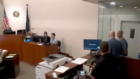 Pilot soll vor Absturz-Versuch psychoaktive Pilze genommen haben