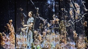 Hemdknopf des Glücks