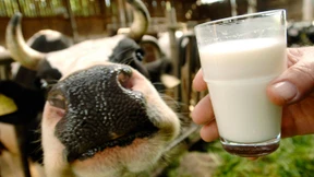 Milch ist nicht billiger als Wasser