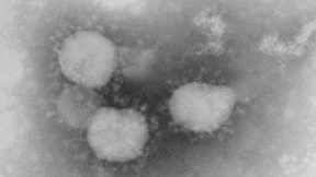 Eine Gefahr für die Welt