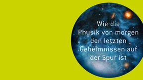 Das Teilchen und das Ganze