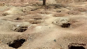 Dutzende Tote bei Goldmine