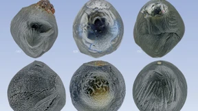 Kosmischer Staub enthält Spuren der Uratmosphäre