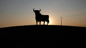 Optimismus für den Aktienmarkt 