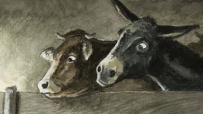 Wir - und die anderen