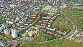 Eidechsen oder Wohnungen