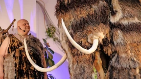 Gefühle so groß wie ein Mammut