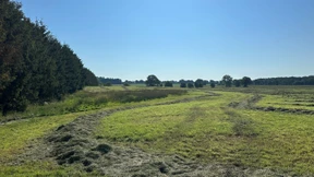 Kinderleiche ist wahrscheinlich der vermisste Arian