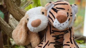 Erwachsen, berufstätig – und mit Kuscheltier