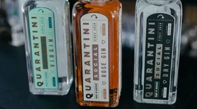 Wie ein Gin zu sauberem Wasser wird