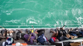 Ein juristischer Blick auf Freis Forderung