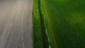 Trockenheit bedroht die Ernten