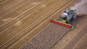 Ernte 2019 besser als erwartet