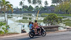 Auf Wolke Bali schweben