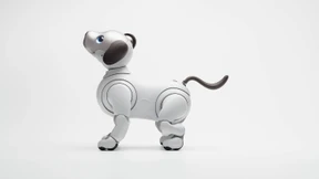 „Eine echte Innovation“