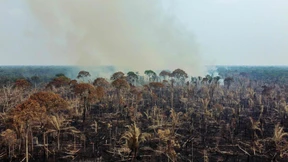 Wichtig für alle, nicht nur für ein Land
