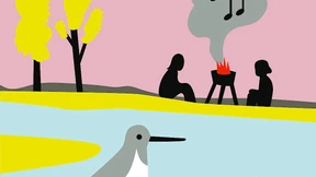 Grillpartys verstören nicht nur den Flussuferläufer