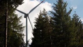 Größere Solaranlagen und Windräder statt Bäume