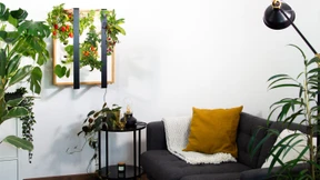 So blüht ein Wandgarten ohne Tageslicht – dank NASA-Technologie