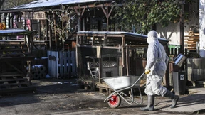 „Der Mensch ist ein wichtiger Faktor bei Tierseuchen“