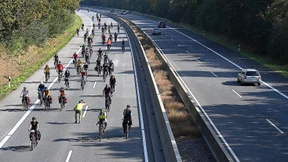 Die Kröten der Grünen