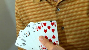 Das Gehirn ist ein Muskel