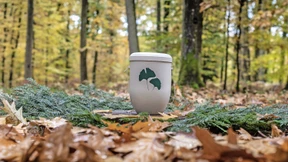 Letzte Ruhe im Forst