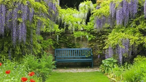 Was uns im Mai so alles blüht